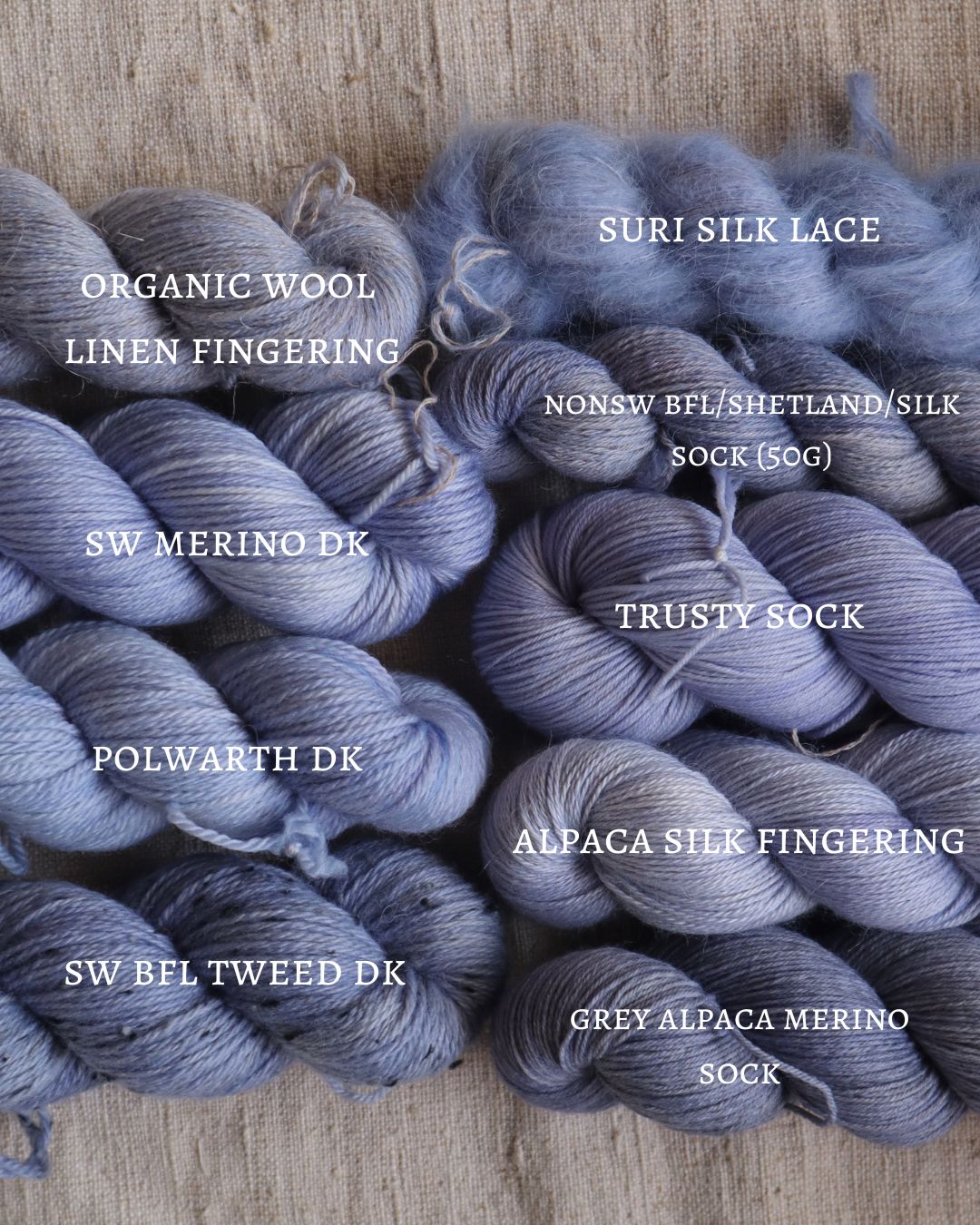 PREORDER - HYDRANGEA