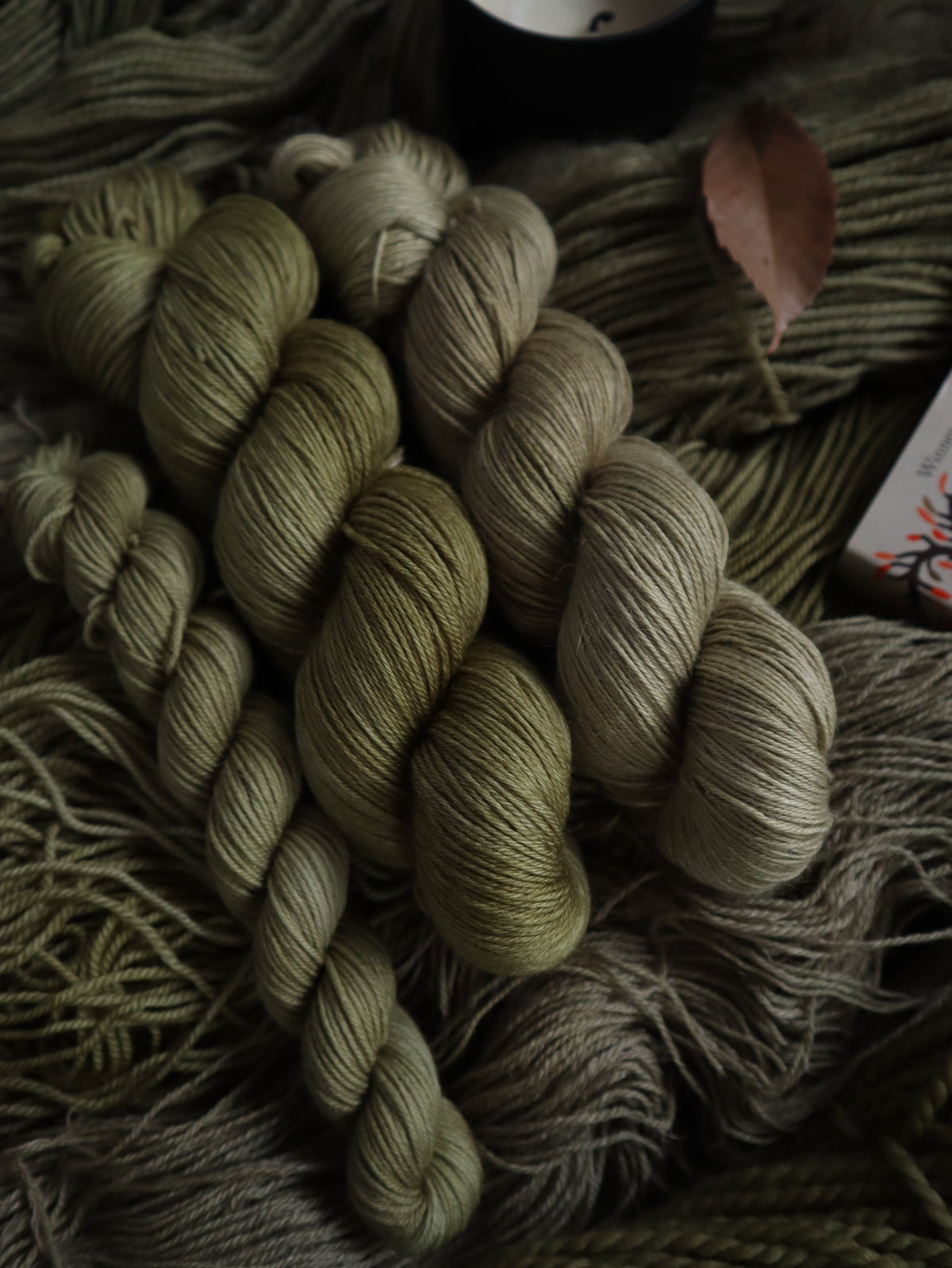 PREORDER - HERBALIST
