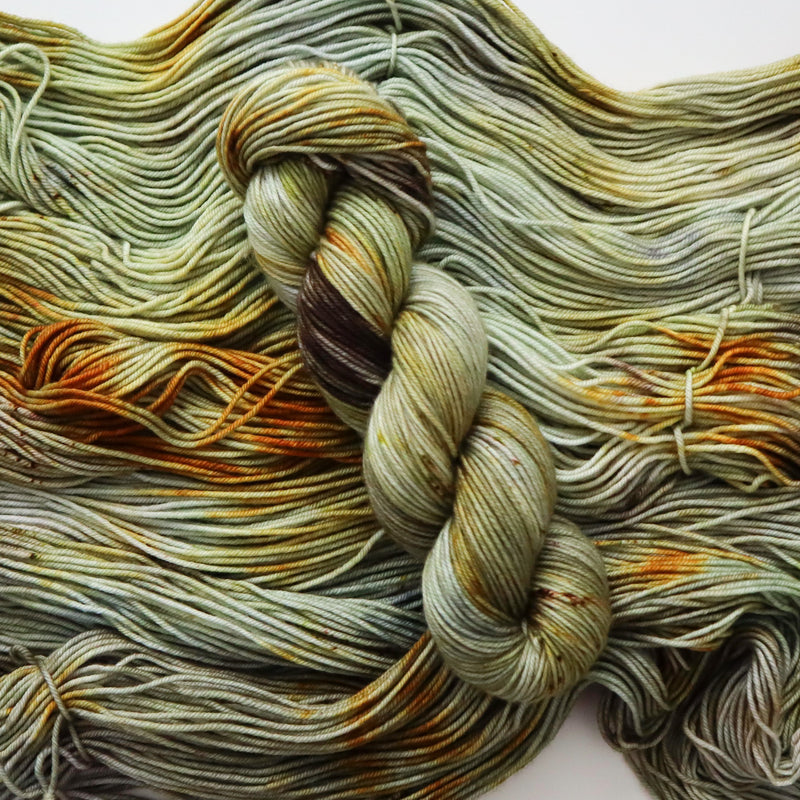 ライケン - Superwash Merino Nylon Sock
